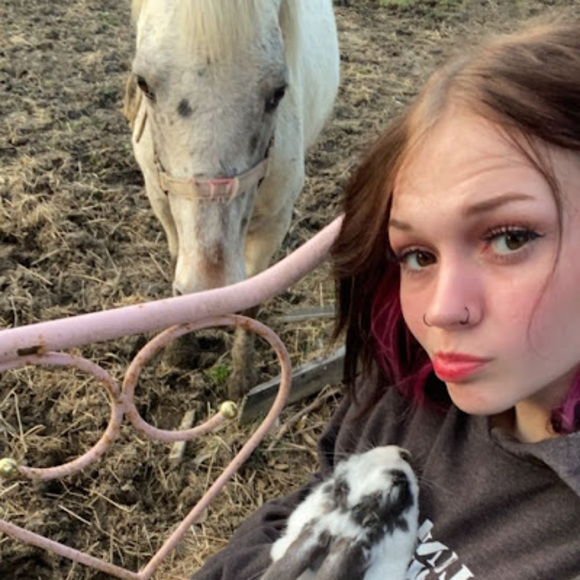 Meet your Posher, Shawnee - Picture 1 of 1